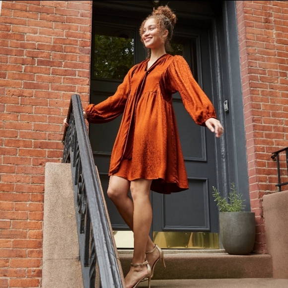 NWT A New Day rust babydoll dress - Picture 3 of 8